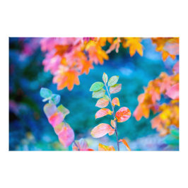 Foto Marvelous Cotonou Leaves