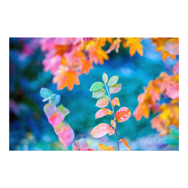 Foto Marvelous Cotonou Leaves (Frente)