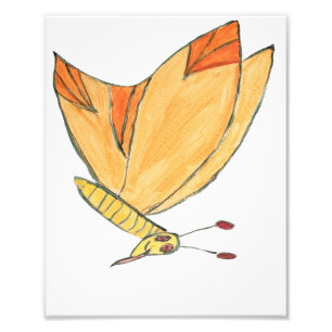 Foto Marvin the Moth