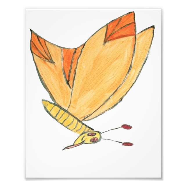 Foto Marvin the Moth (Frente)