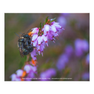 Foto Mason e Heather