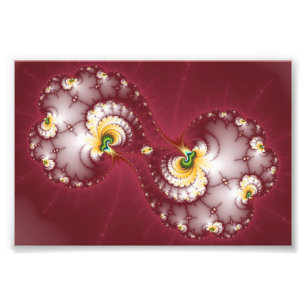 Foto Mastigação Óssea de Cão - Fractal