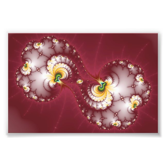 Foto Mastigação Óssea de Cão - Fractal (Frente)