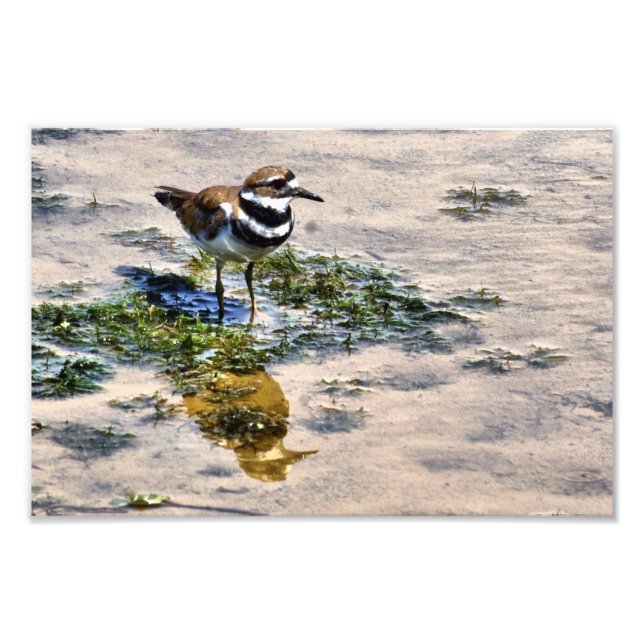 Foto Matadouro Refletido em Água (Frente)