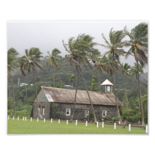 Foto Maui, Igreja Antiga, Árvores Palmeiras de vento so