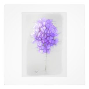 FOTO MAUVE FLOWER PHOTO ALARGAMENTO