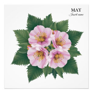 Foto May Birthday Hawthorn Bloom: Floral Personalizado