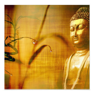 Foto Meditação e bambu