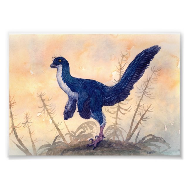 Foto Mei Impressão (Frente)