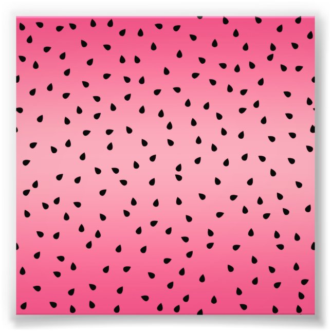 Foto Melancia Black Seeds Summer Vibes Suculenta Rosa (Frente)