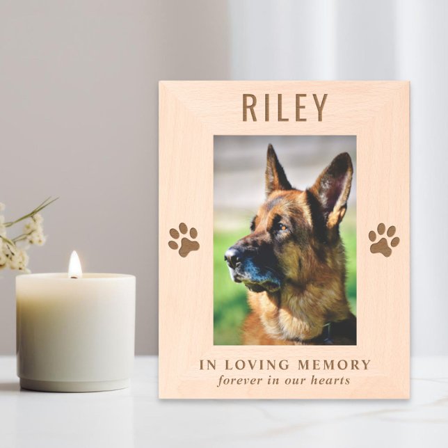 Foto Memorial de Pet Cachorro (Criador carregado)