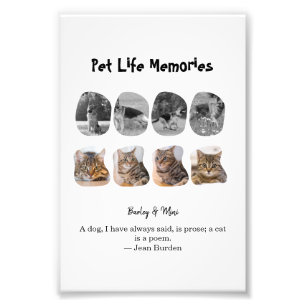 Foto Memórias da Vida de Pet 8 Modelo de Tributo de Col