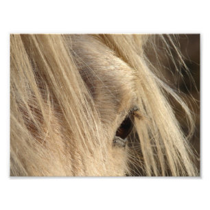 Foto Mensagem Mane Day