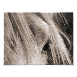 Foto Mensagem Mane Day