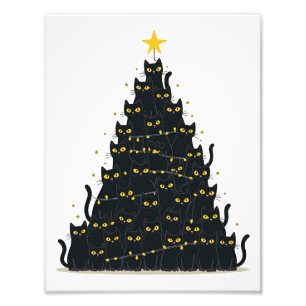 Foto Meowy Natal Feliz Catmas
