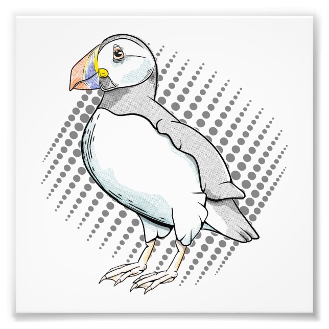 Foto Metades do Puffin (Frente)