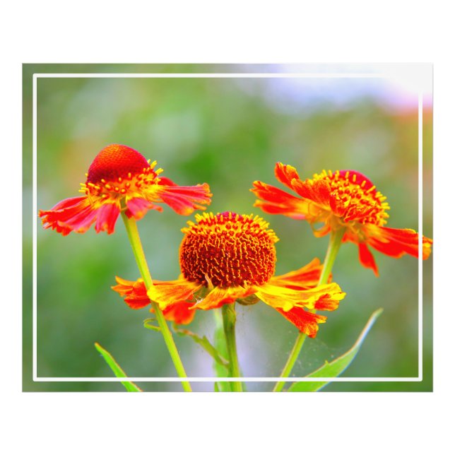 Foto Metal Wall Art (Frente)