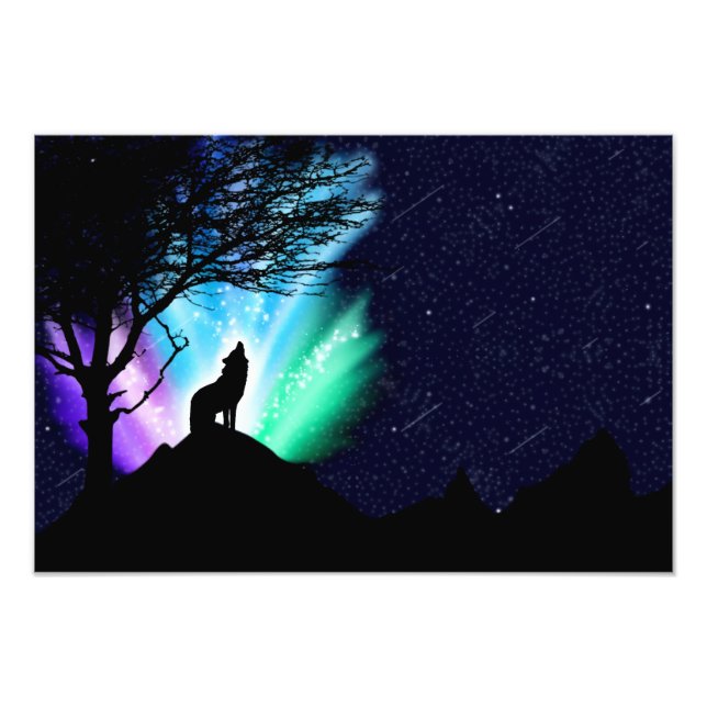 Foto Midnight Howl (Frente)