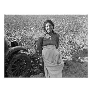 Foto Migrant Worker in Cotton Field por Dorothea Lange
