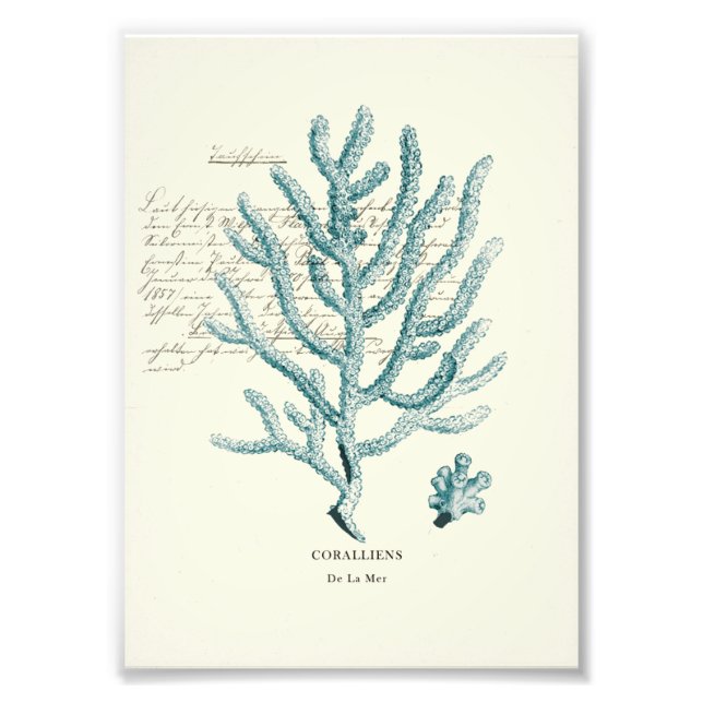 Foto Milha Náutica (Frente)