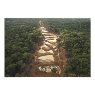 Foto Mineração de Ouro Aluvial. Floresta Tropical, Guia