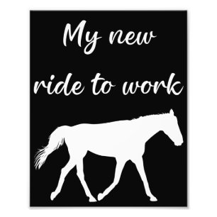 Foto Minha Nova Carona para o Trabalho a Cavalo Engraça