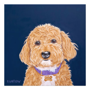 Foto Mini porta do Ouro