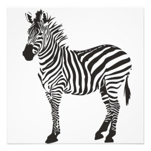 Foto Minimalismo branco e preto zebra