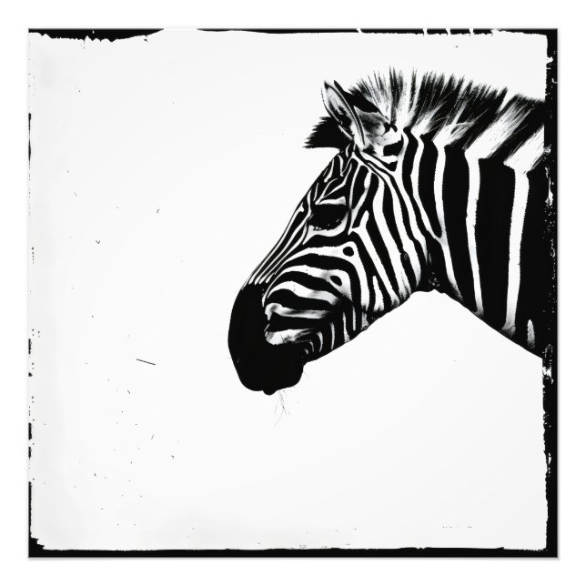 Foto Minimalismo Monocromático de Zebra (Frente)