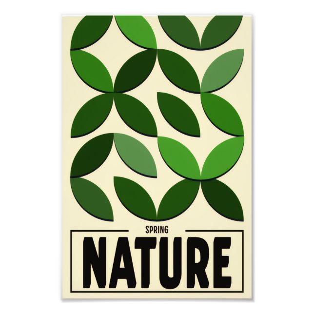 Foto Minimalist Nature Poster – Spring Botanic wall art (Frente)