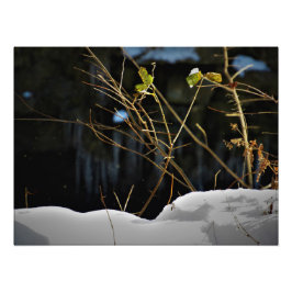 Foto "Minnesnowta não vista"