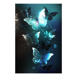 Foto Mint Night Butterflies