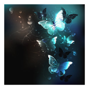 Foto Mint Night Butterflies