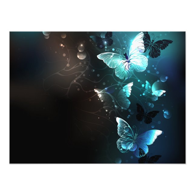 Foto Mint Night Butterflies (Frente)