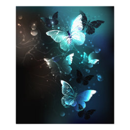 Foto Mint Night Butterflies