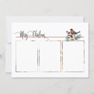 Foto moderna 1 ou 3 com Robin Christmas