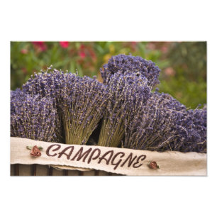 Foto Molhos de lavanda à venda, Vence, Provence,