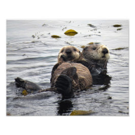 Foto Mom and Pup Sea Otter