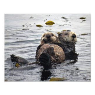 Foto Mom and Pup Sea Otter