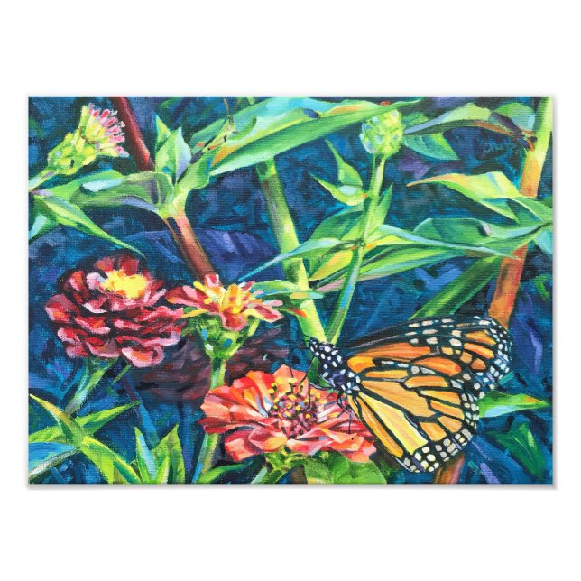 Foto Monarca (Frente)