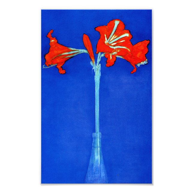 Foto Mondrian Amaryllis Impressão (Frente)