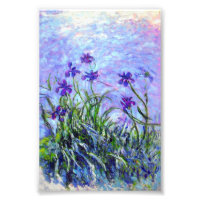 Monet Lilac Irises