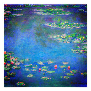 Foto Monet Water Lily 1906