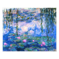 Monet Water Lily Impressão