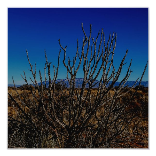 Foto Montanhas Sandia Albuquerque  (Frente)