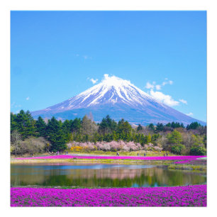 Foto Monte Fuji Trees e Flores
