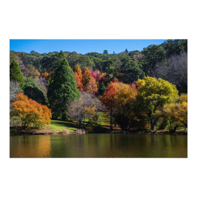 Foto Monte Lofty Botanic Gardens Belo Outono (Frente)