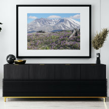 Monte Rua Helens Wildflower