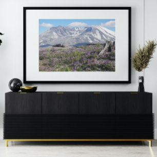 Foto Monte Rua Helens Wildflower