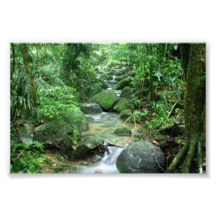 Foto Montes de pedras Austrália da floresta tropical